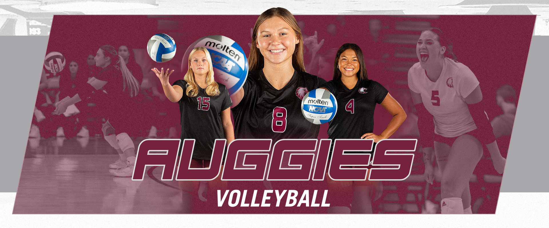 Augsburg Volleyball Camps